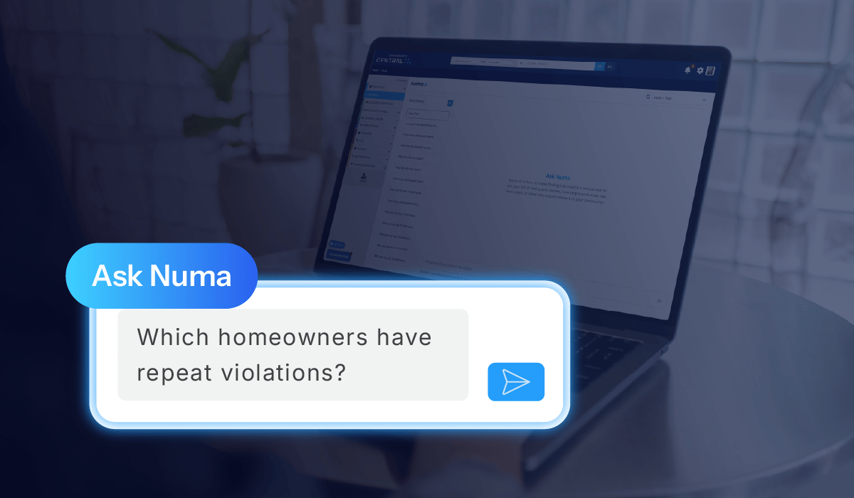 Ask Numa_Hero Image
